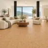 Codex floor room 20261003 cz3162vnn v3.