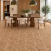 Codex floor room 20261003 fpar11 v3.