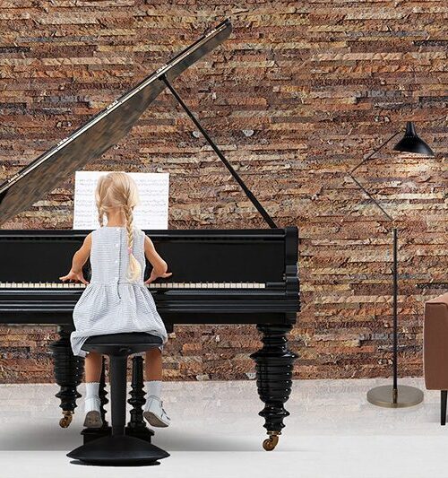 Ledge Stone Forna Cork Wall Panel Soundproofing Building Insulation Piano Room