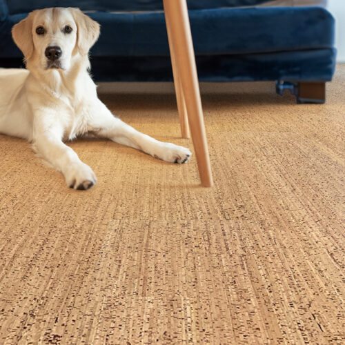 berber warm cork floor dog toxic Free for pets comfort healthy home