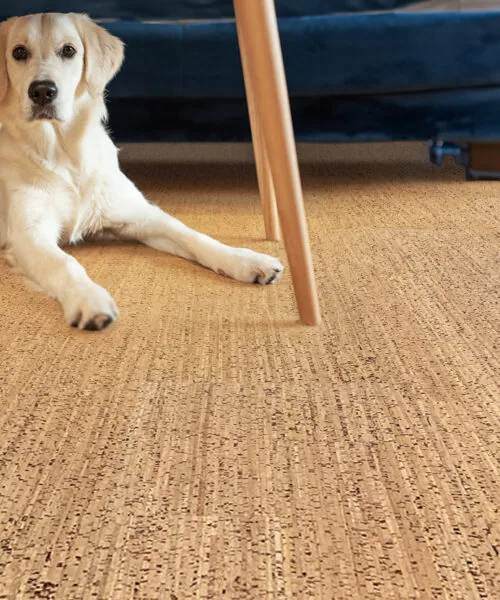 Berber - 1/2&Quot; (12Mm) - Cork Floating (Fber12) Berber Warm Cork Floor Dog Toxic Free For Pets Comfort Healthy Home