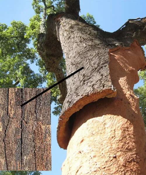 Cork Bark Acoustic Cork Wall Panel Tree Natural