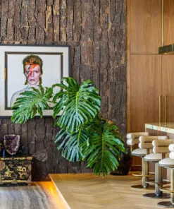 Cork Bark Echo Reducing Wall Panels In A Room