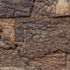 Natural Cork Bark wall panel texture featuring authentic cork oak bark with rustic organic patterns for decorative and acoustic wall applications.