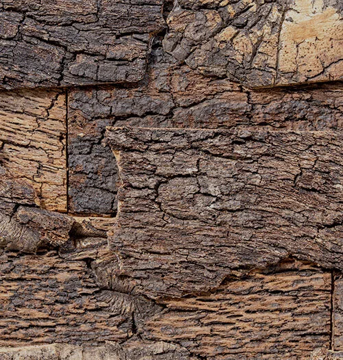 Natural Cork Bark Wall Panel Texture Featuring Authentic Cork Oak Bark With Rustic Organic Patterns For Decorative And Acoustic Wall Applications.