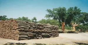 Cork Material Properties - Eco-Friendly, Acoustic Insulation Cork Material Properties Bark Oak