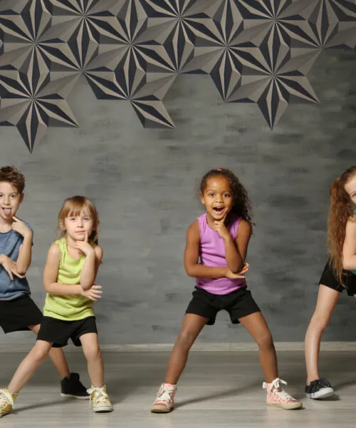 Diamond Natural 3D Acoustic Cork Decorative Wall Panels Dance Studio