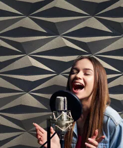 diamond natural 3d acoustic cork decorative wall panels recording studio copy