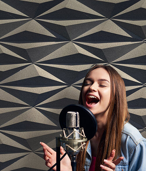 Usa'S Best Cork Flooring, Wall Tiles, Underlayment And More Diamond Natural 3D Acoustic Cork Decorative Wall Panels Recording Studio Copy