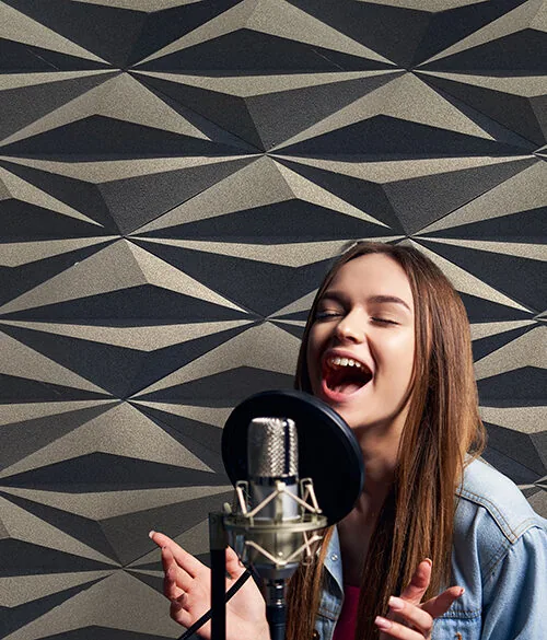 Diamond Natural 3D Acoustic Cork Decorative Wall Panels Recording Studio Copy