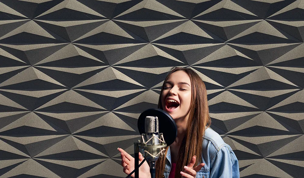 Diamond Natural 3D Acoustic Cork Decorative Wall Panels Recording Studio Copy