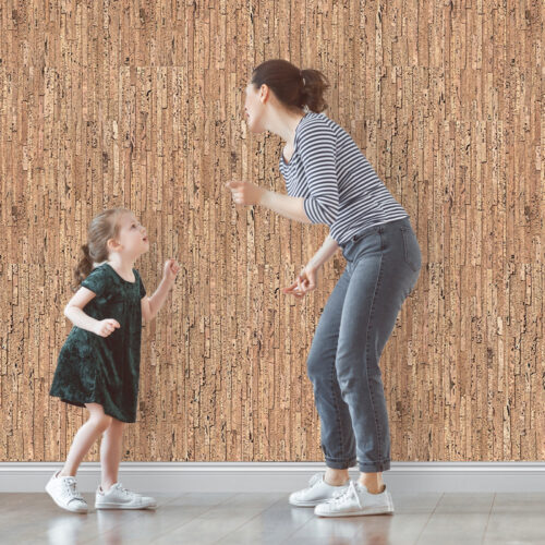 durango cork acoustic wall panels noise reduction for reception areas