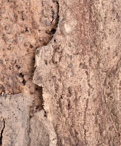 Earthhue - 1 3/16&Quot; (30Mm) - Acoustic Cork Wall Panels (Wethhu30) Earthhue – 1 – 1 3/16″ (30Mm) (Wall Tile) - Image 4