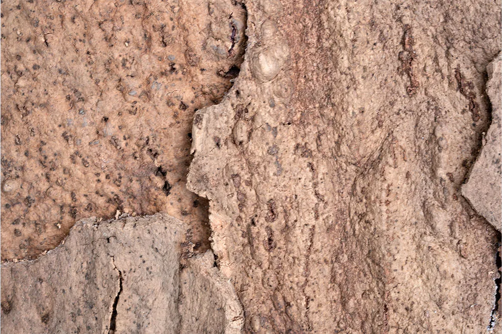 Earthhue - 1 3/16&Quot; (30Mm) - Acoustic Cork Wall Panels (Wethhu30) Earthhue – 1 – 1 3/16″ (30Mm) (Wall Tile) - Image 4