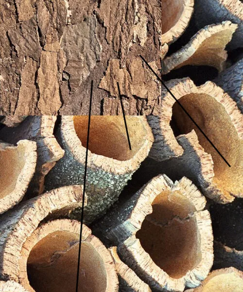 ecoclay acoustic cork wall panels bark inside layer