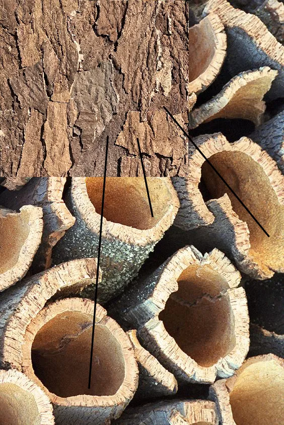 Earthhue - 1 3/16&Quot; (30Mm) - Acoustic Cork Wall Panels (Wethhu30) Ecoclay Acoustic Cork Wall Panels Bark Inside Layer