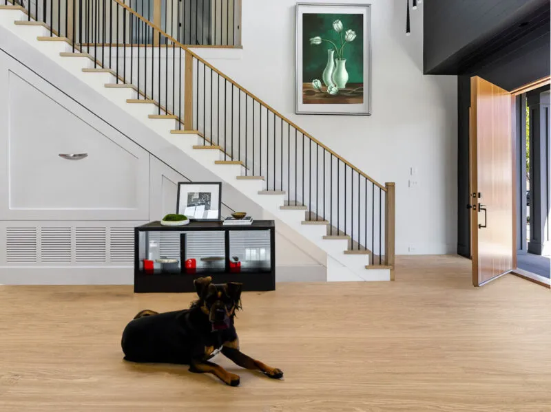 Is Cork Flooring Durable With Dogs Forest Real Wood Design Floor Door Way Dog