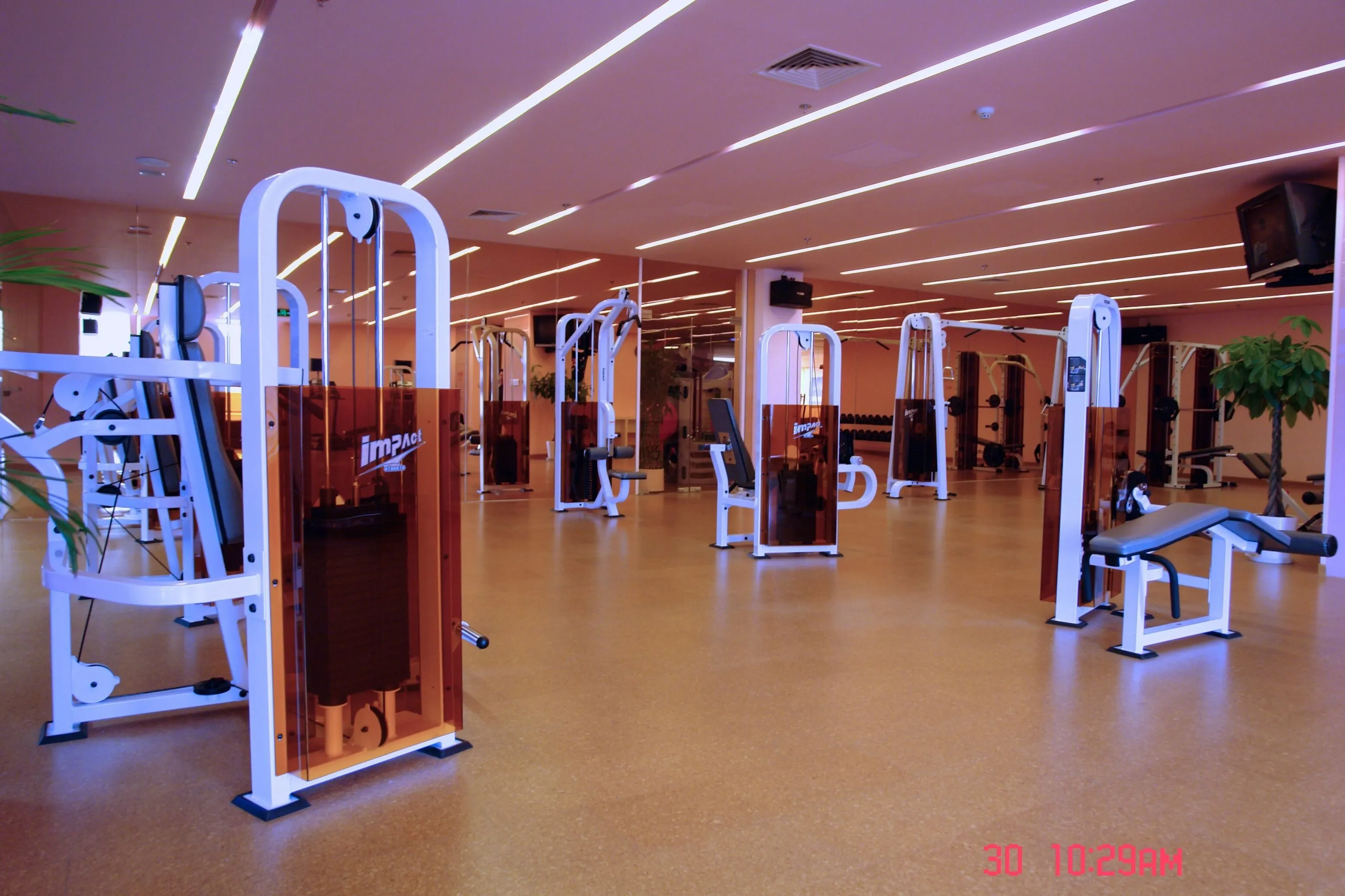 Cork Flooring Multitalented Enough As Gym Flooring Gym Flooring Cork Exercise Golden Beach