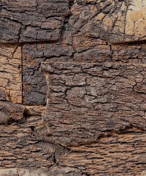 Cork Bark - 63/64&Quot; (25Mm) - 3D Acoustic Cork Wall Panels