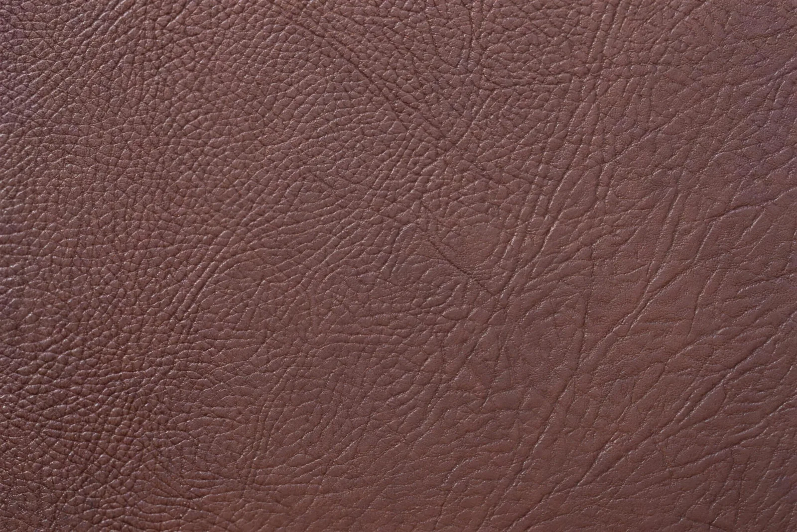 Icork 186386 swatch 4k.
