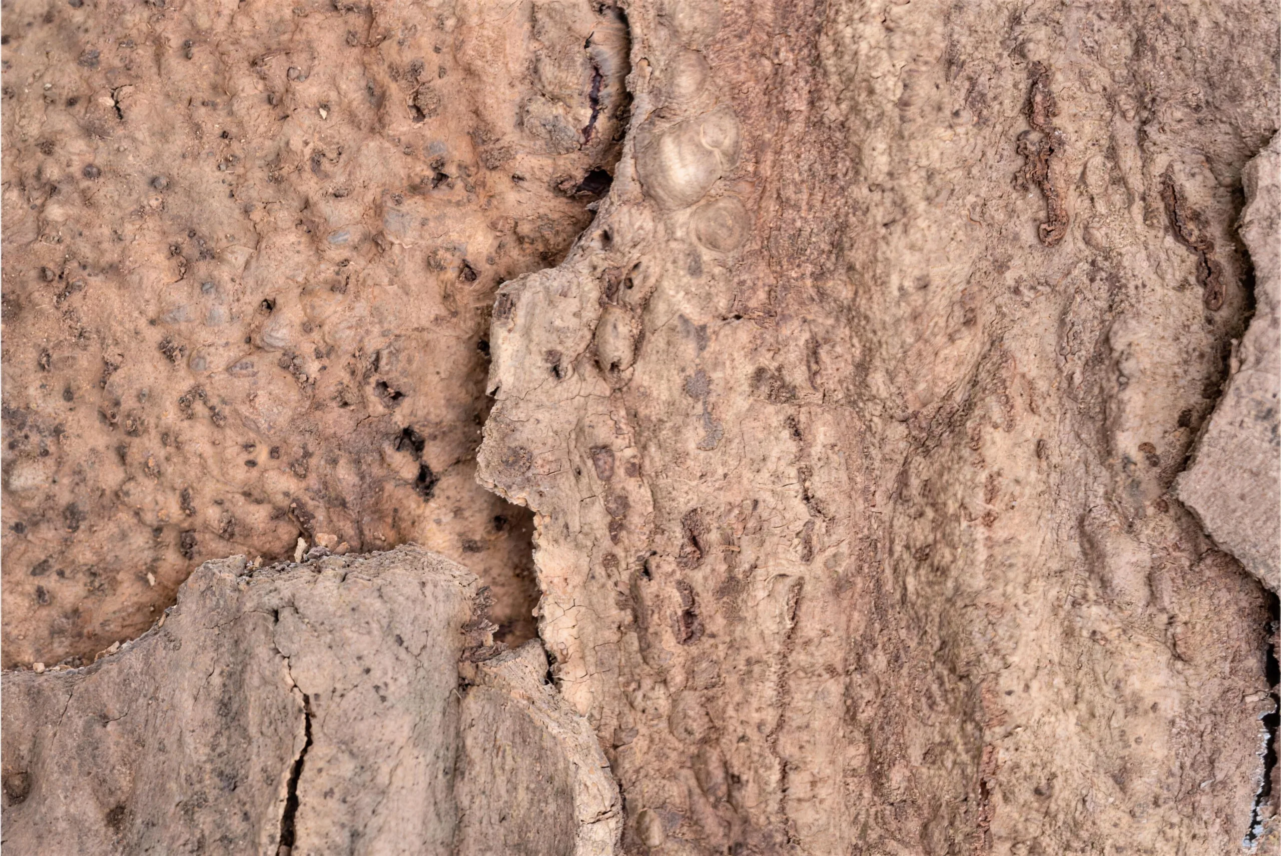 Earthhue - 1 3/16&Quot; (30Mm) - Acoustic Cork Wall Panels (Wethhu30) Earthhue - 1 3/16&Quot; (30Mm) - Acoustic Cork Wall Panels