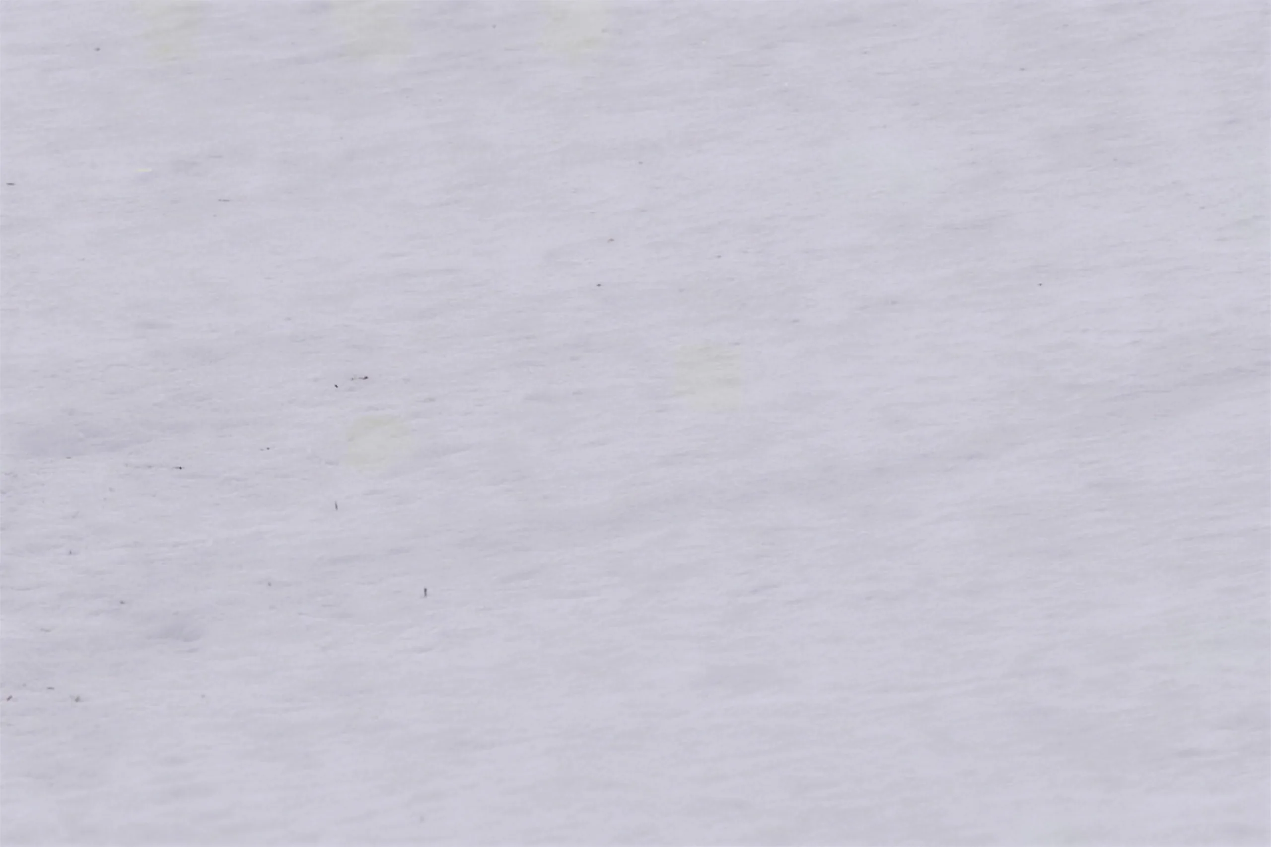 Snowstone - 19/64&Quot; (7.5Mm) - Swiss Techslate (Mcsnows7.5) Snowstone - 19/64&Quot; (7.5Mm) - Swiss Techslate