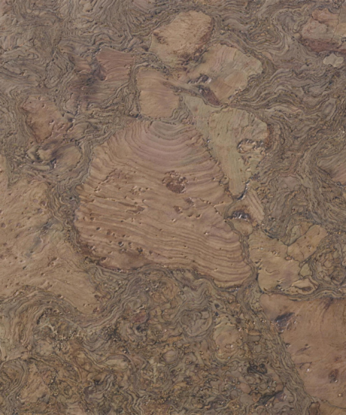 Walnut Burlwood - 1/2&Quot; (12Mm) - Cork Floating (Fwbu12) Walnut Burlwood – 1/2″ (12Mm) (Cork Floating) - Image 3