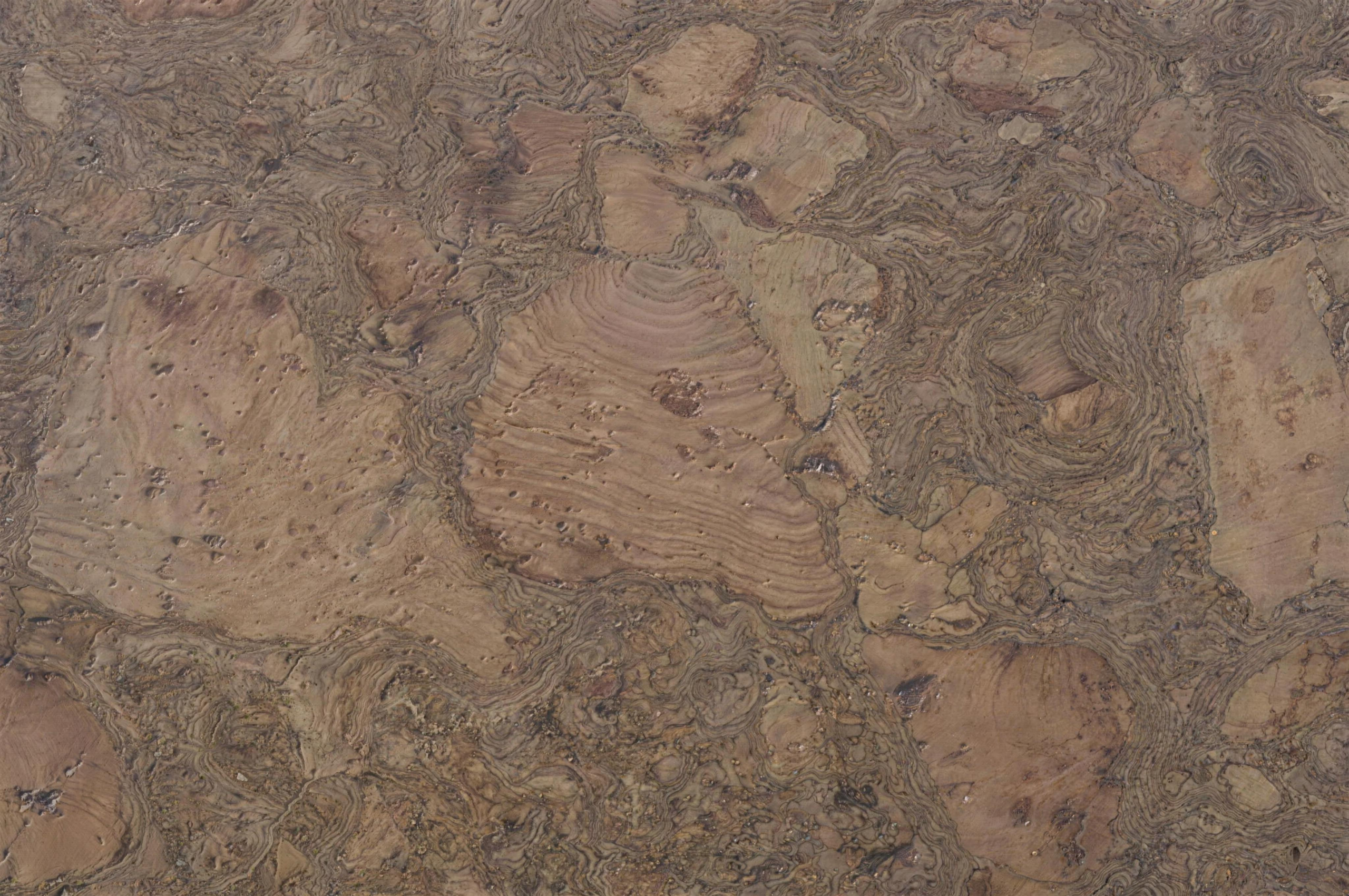 Walnut Burlwood - 1/2&Quot; (12Mm) - Cork Floating (Fwbu12) Walnut Burlwood – 1/2″ (12Mm) (Cork Floating) - Image 3
