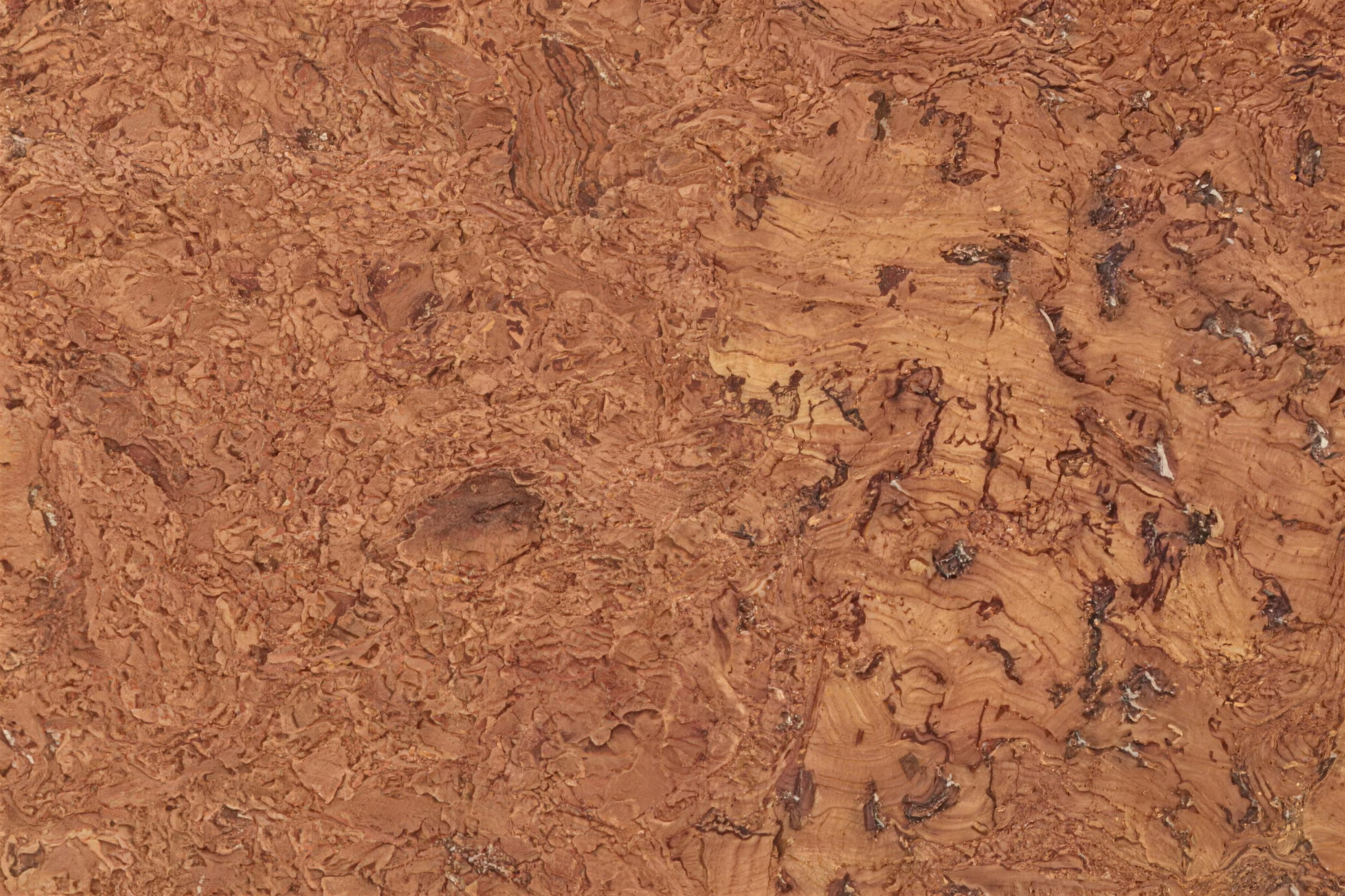 Autumn Ripple - 5/16&Quot; (8Mm) - Cork Glue Down Tile (Gar8) Autumn Ripple – 5/16″ (8Mm) (Glue Down) - Image 3