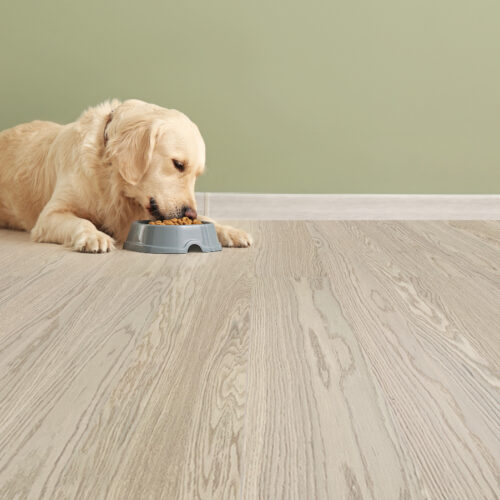 meadow real wood design flooring for dog