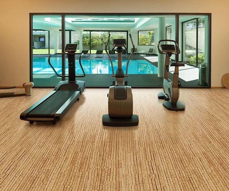Sisal Forna Cork Flooring Interior Gym Modern House With Swimming Poor Copy