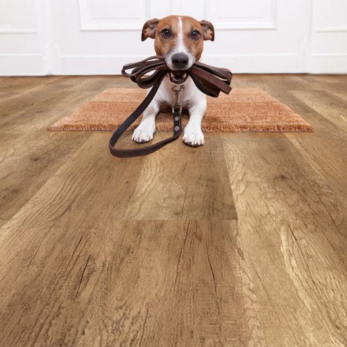 spanish cedar cork wood environmentally friendly flooring dog