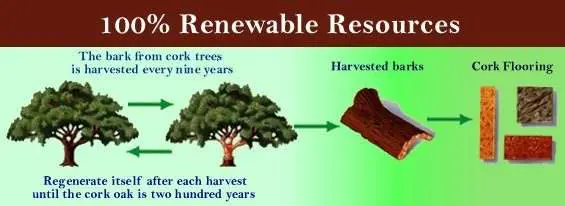 Sustainable Resources Material To Build With, Cork Sustainable Resources Material To Build With Cork