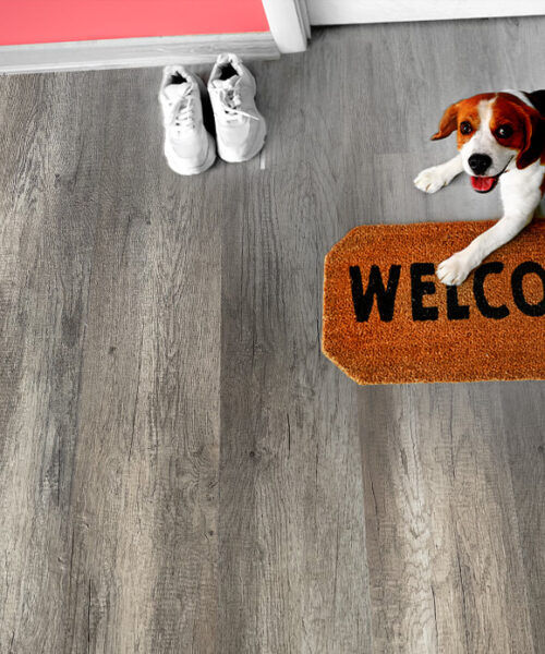 Wild Oak - 13/32&Quot; (10.5Mm) - Design Cork Floating (Fwo10.5) Wild Oak Cork Design Flooring Sustainable Flooring For Modern Interiors